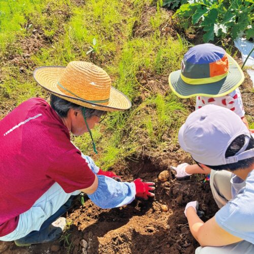 近所に住む移住者さんの菜園で収穫体験 をさせてもらうこともあるという大輪さんファミリー/山梨県北杜市