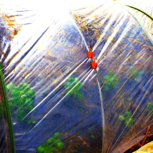 固定のビニールの上に加え毎夕防寒シートを2枚