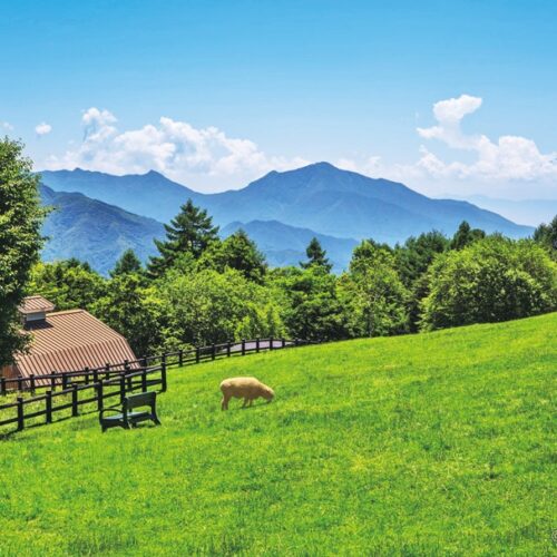 まきば公園/山梨県北杜市