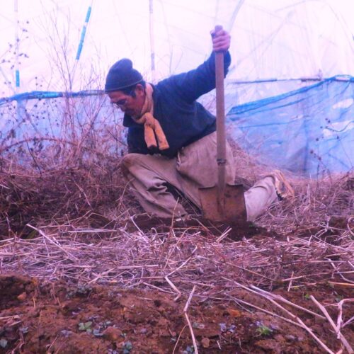 ゴキブリがどれだけいようとも、僕はスプレーのようなものは使わない。