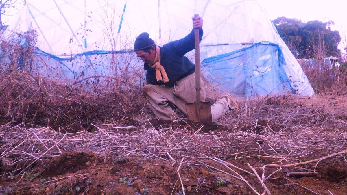 ゴキブリがどれだけいようとも、僕はスプレーのようなものは使わない。