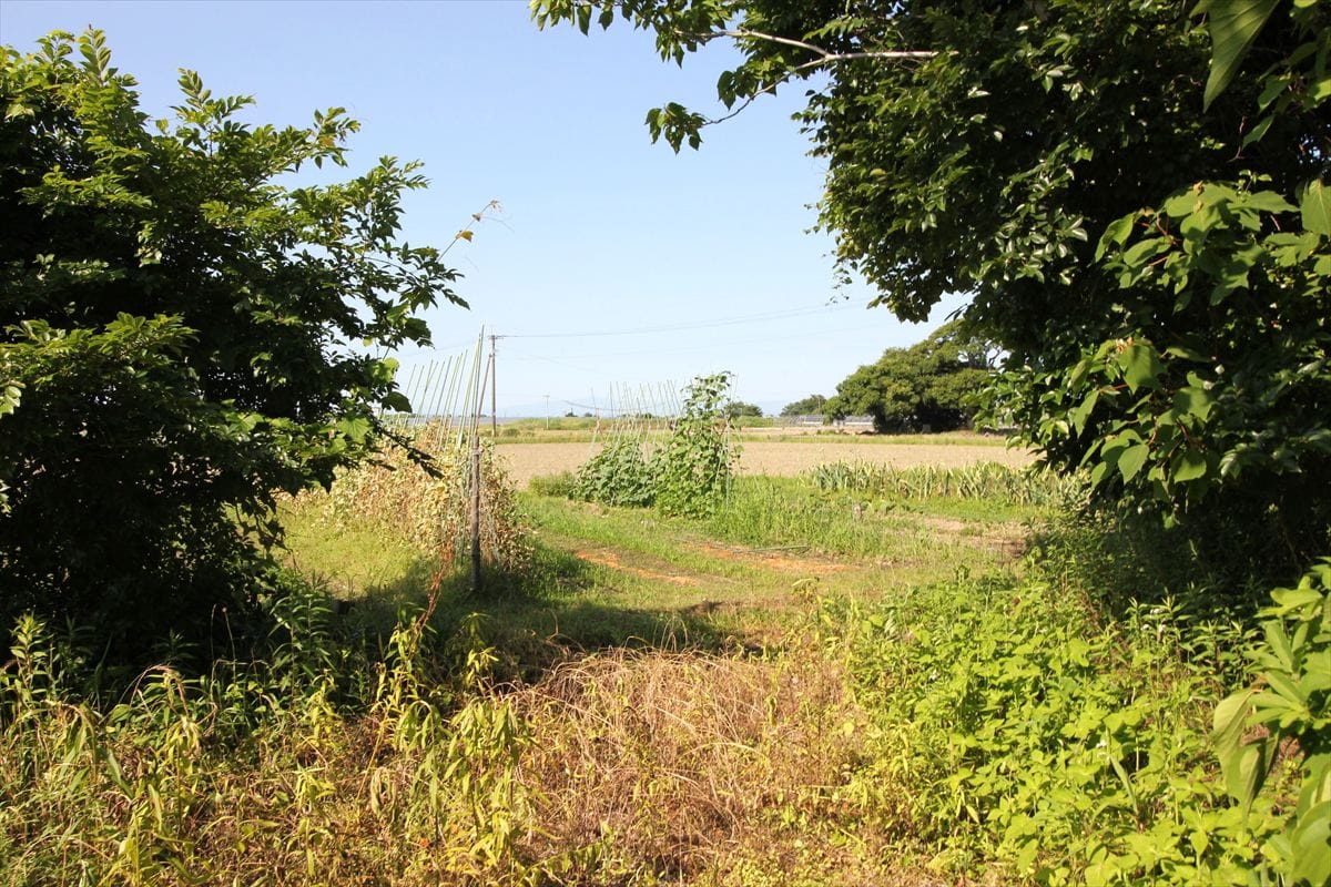 熊本県宇土市の物件の庭。