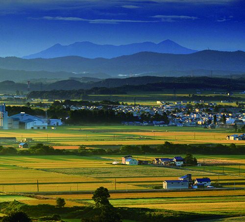 北海道沼田町がハローワークプラザ札幌で移住相談会を開催【北海道沼田町】