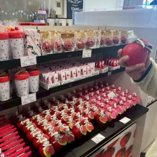 道の駅 伊豆のへそのいちごのお土産