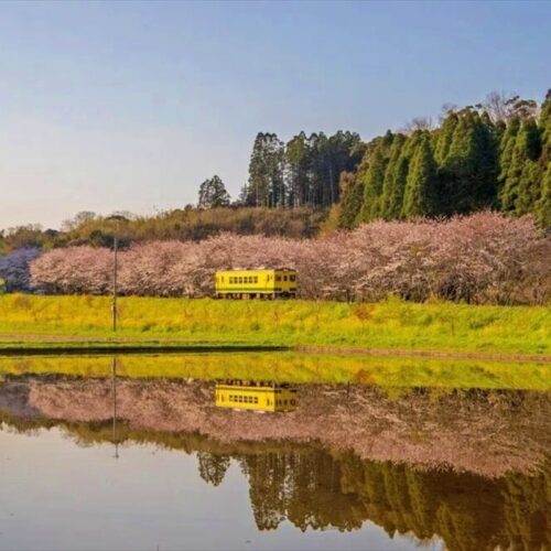 千葉県いすみ市のいすみ鉄道