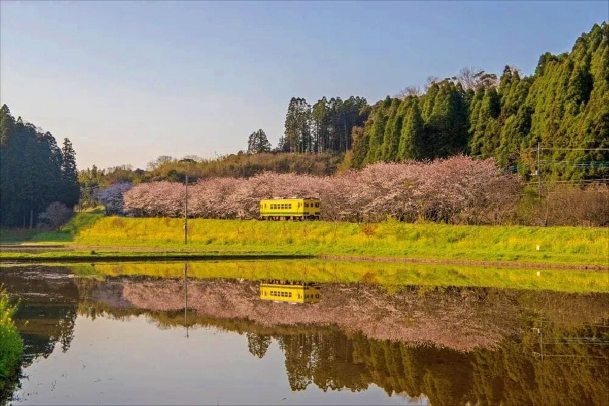 千葉県いすみ市のいすみ鉄道