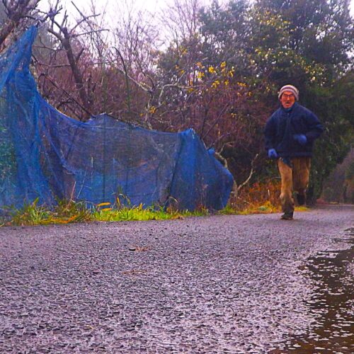 ふだん通りにランニングし、ふだん通りに畑に出て働き、ふだん通りに畑から収穫したものを食べて元旦の光を浴びる。