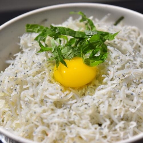 道の駅 潮見坂の「シラス丼」