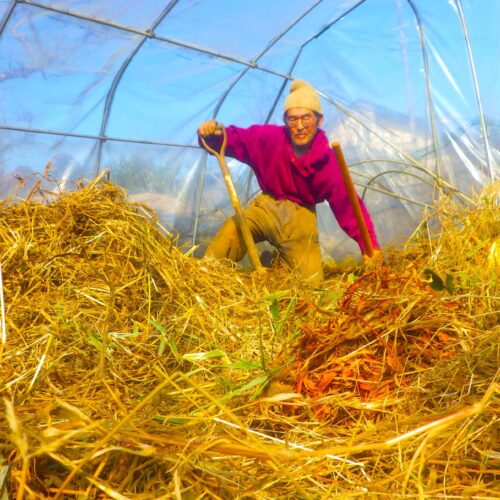 注文品の発送作業は29日で終了した。少しホッとする。