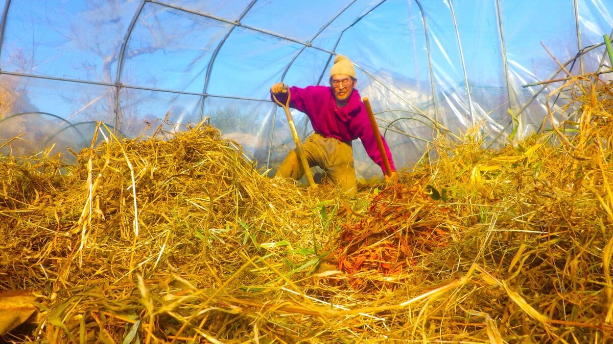 注文品の発送作業は29日で終了した。少しホッとする。