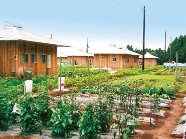 1.千葉県香取市/クラインガルテン栗源