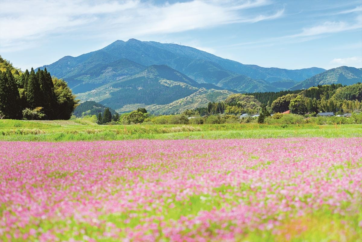 鹿児島県さつま町の紫尾山(しびざん)。