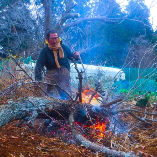 田舎暮らしは誰をも無邪気に若くしてくれる/自給自足を夢見て脱サラ農家40年(80)【千葉県八街市】