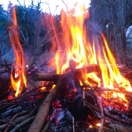 都会のイルミネーションには負けるが、日暮れ時の焚火の炎も美しいよね。寒い体を暖めてくれるだけでなく、無音、無人、暗闇の中での焚火は人の心を静めて暖める。
