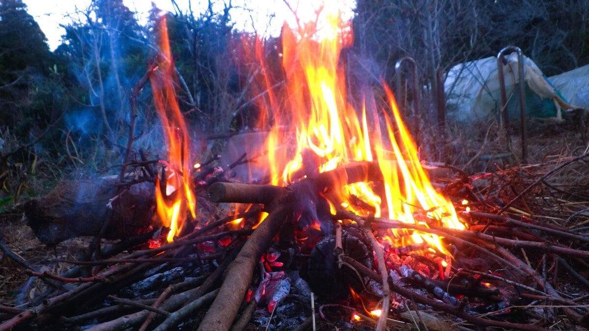 都会のイルミネーションには負けるが、日暮れ時の焚火の炎も美しいよね。寒い体を暖めてくれるだけでなく、無音、無人、暗闇の中での焚火は人の心を静めて暖める。
