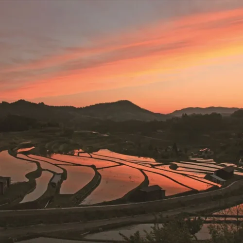 山口県周南市の「中須の棚田」。