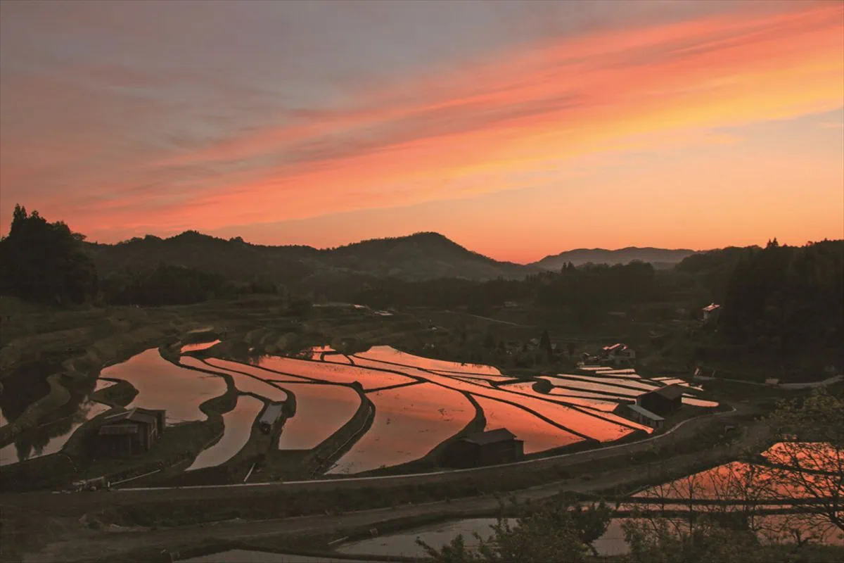 山口県周南市の「中須の棚田」。