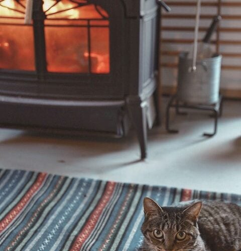 薪ストーブ生活のススメ①火のある暮らしはこんなに豊か!