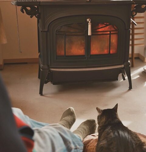 薪ストーブのある家には猫が似合う