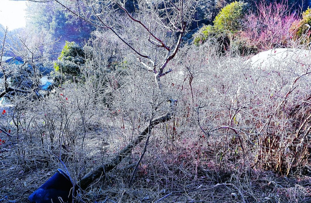 人生ってもともと退屈なものなのか・・・僕は退屈したむことがない