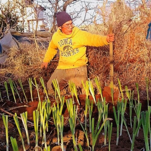 人生ってもともと退屈なものなのか・・・僕は退屈したむことがない/自給自足を夢見て脱サラ農家42年(81)【千葉県八街市】