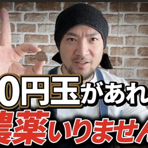 【10円玉で農薬いらず】家庭菜園の病気・ナメクジ対策を農業YouTuberが解説|観葉植物にも応用できる!