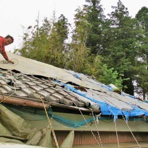屋根の雨漏り防止シートがはがれた。太陽光パネル3枚が転倒した。修復したビニールハウスも再び無残な姿になった。