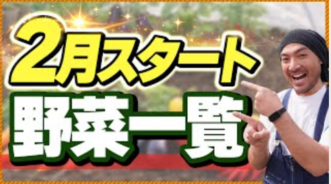 【保存版】2月に植えられる野菜一覧|春に差がつく家庭菜園の始め方