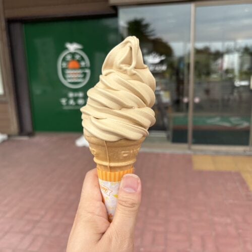 道の駅 てんのうの「まろみそソフト」