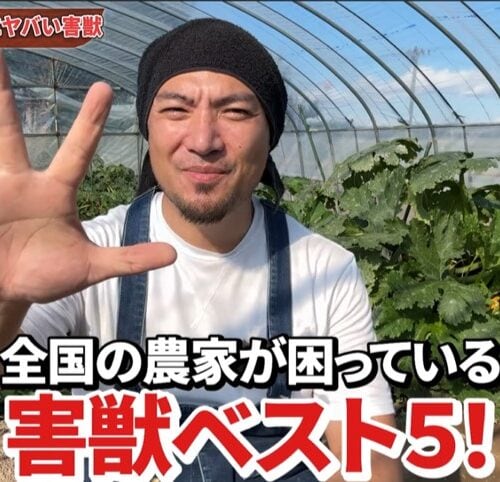 【農家悲鳴】年間164億円の被害!本当にヤバい害獣ランキングTOP5