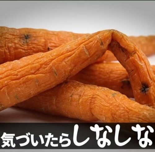 【保存版】ニンジンの正しい保存方法|最長5カ月もたせる農家のコツを解説