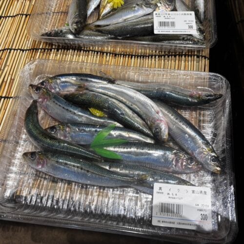 道の駅 愛彩ランドの海鮮