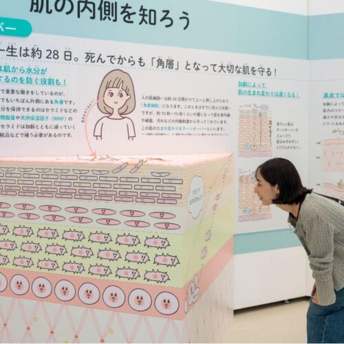 「なるほど!肌とからだチャンレンジ展」展示エリア