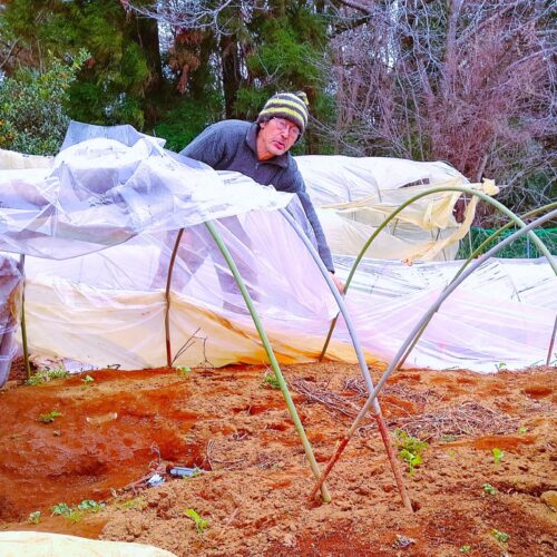 前日を上回る強風が襲ってきた。風はビニールハウスのパイプを引っこ抜く。