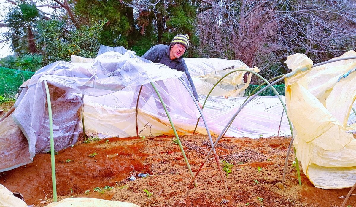 前日を上回る強風が襲ってきた。風はビニールハウスのパイプを引っこ抜く。