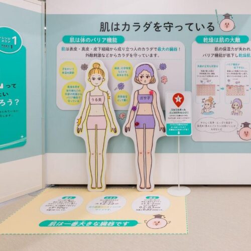 20gの力お試しチャレンジ