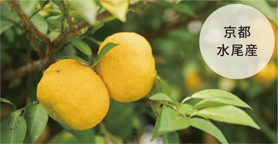 京都水尾産の柚子を原料に使用しています。