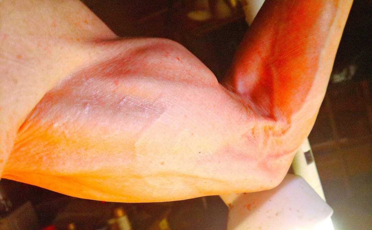 いくら働いても筋肉が発達するなんてこと、AIにはあるまい