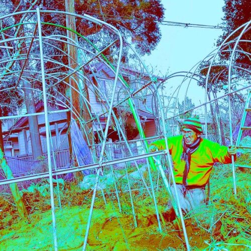 僕がいま取り組んでいる作業には規則性がない。スコップ1投ごとに判断する