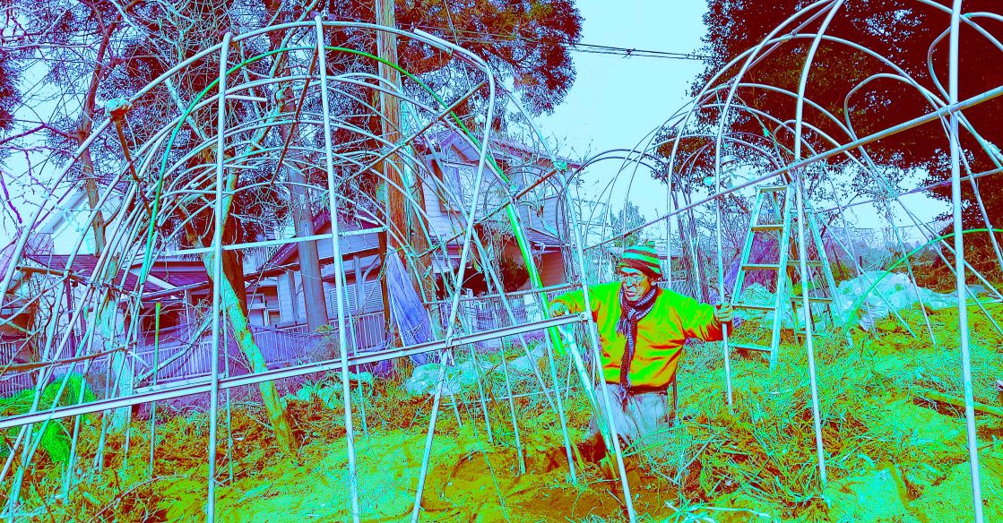 僕がいま取り組んでいる作業には規則性がない。スコップ1投ごとに判断する