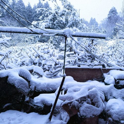雪そのものよりも、農家の僕には日が照らないということが辛い