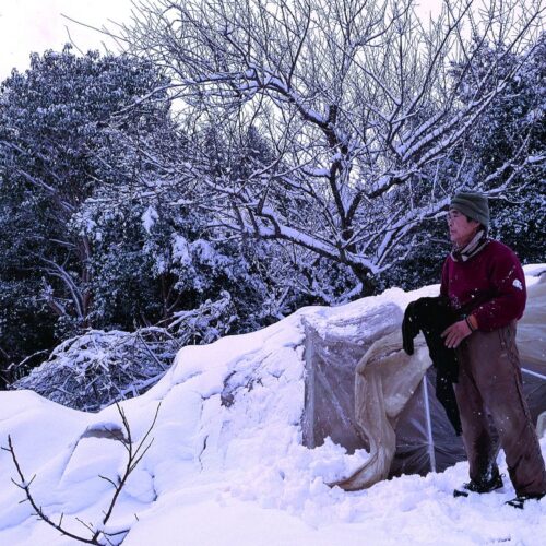 雪が降るのはもっと遅い時刻と思っていたのでちょっと慌てた