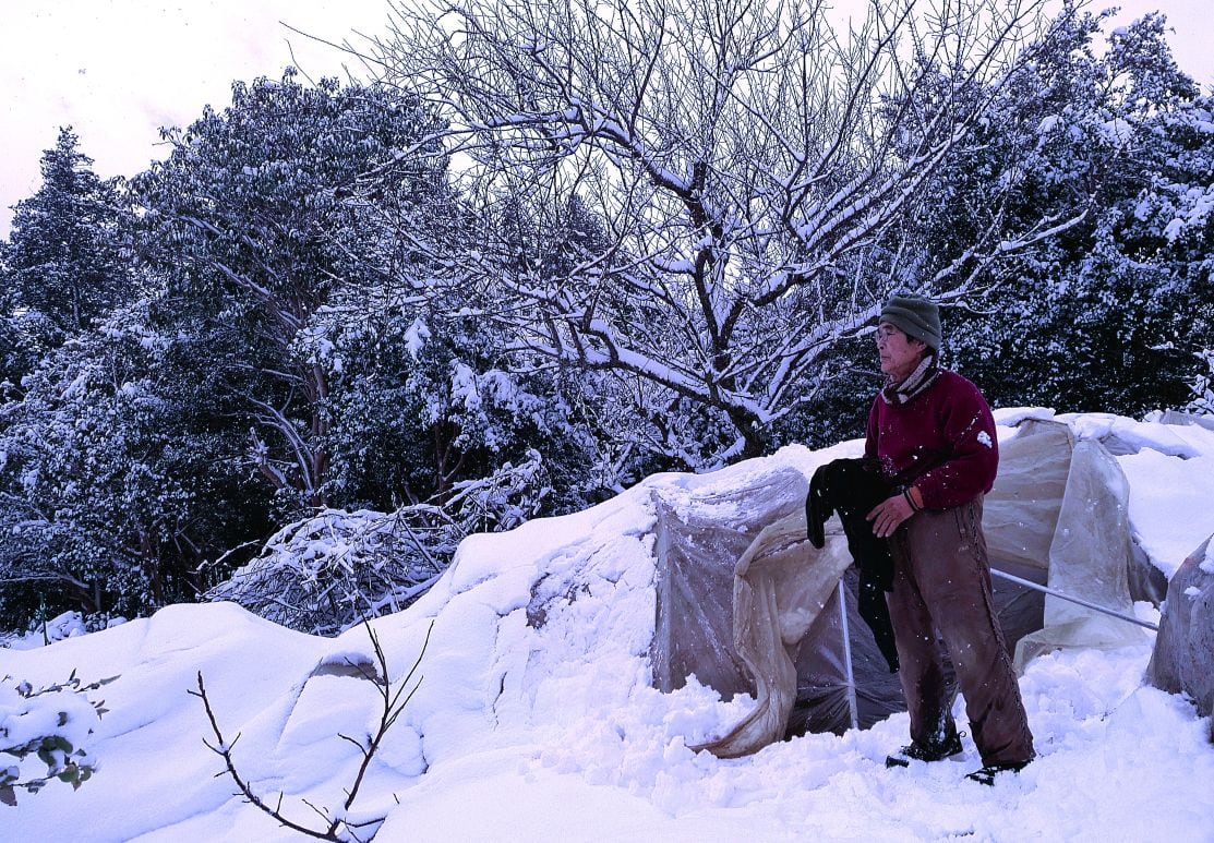 雪が降るのはもっと遅い時刻と思っていたのでちょっと慌てた