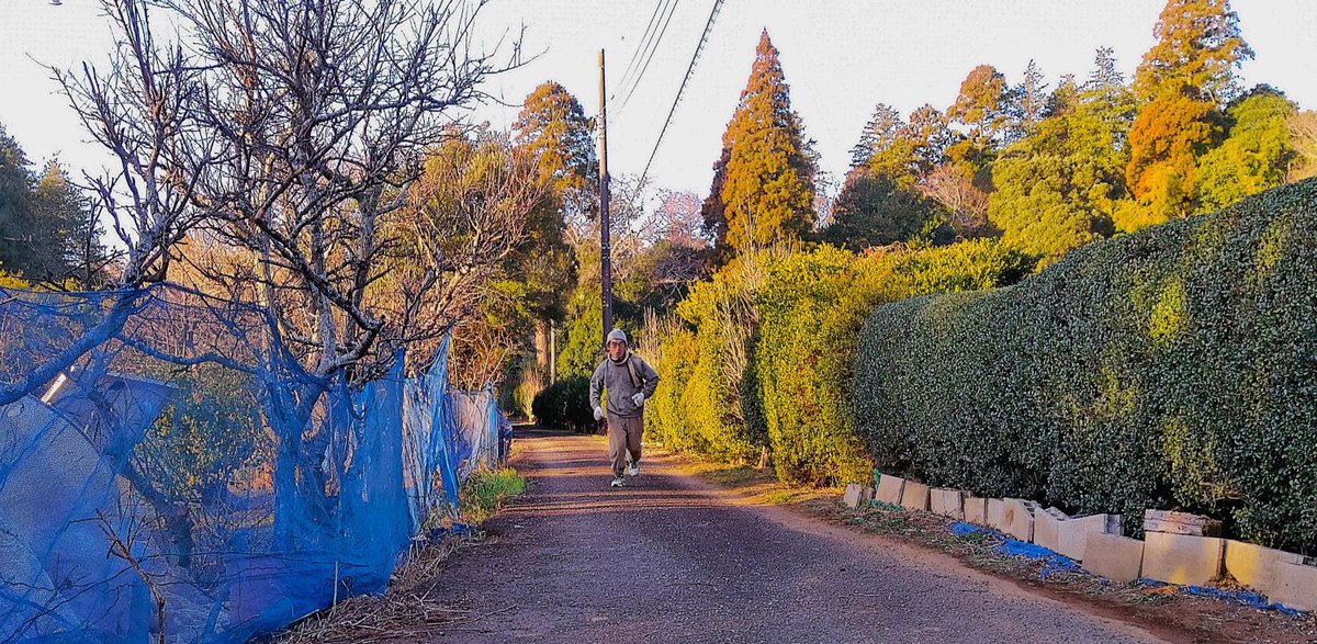 今朝も弾む気持ちで僕はアシックスに足を入れる