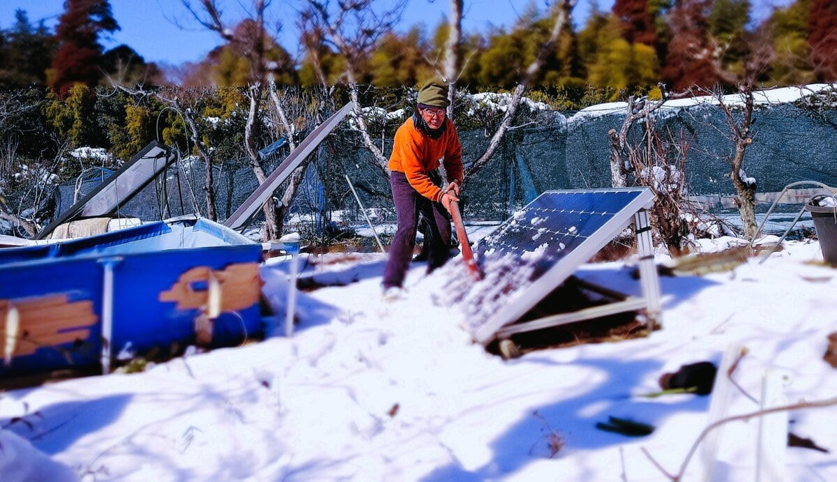 世の中には不公平がいくつもあるが、片や晴天続き、片や雪続き。これほどの不公平は他にあるまい