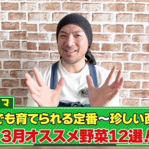 3月に植えると6月に大収穫! 初心者でも育てやすい野菜12選【家庭菜園】