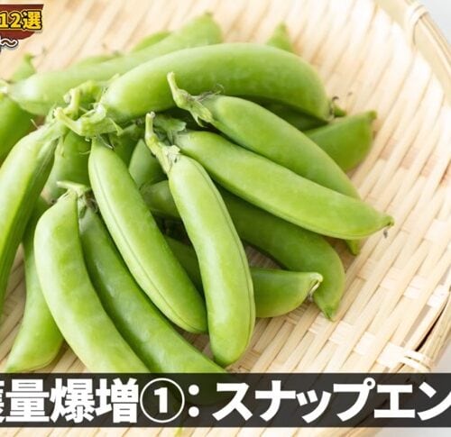 スナップエンドウ