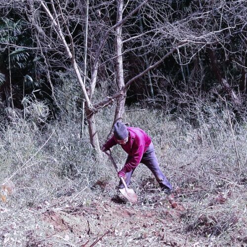 内閣府の森林と生活に関する世論調査では「この1年間に森に1回も行っていない人」が47.4%もいる