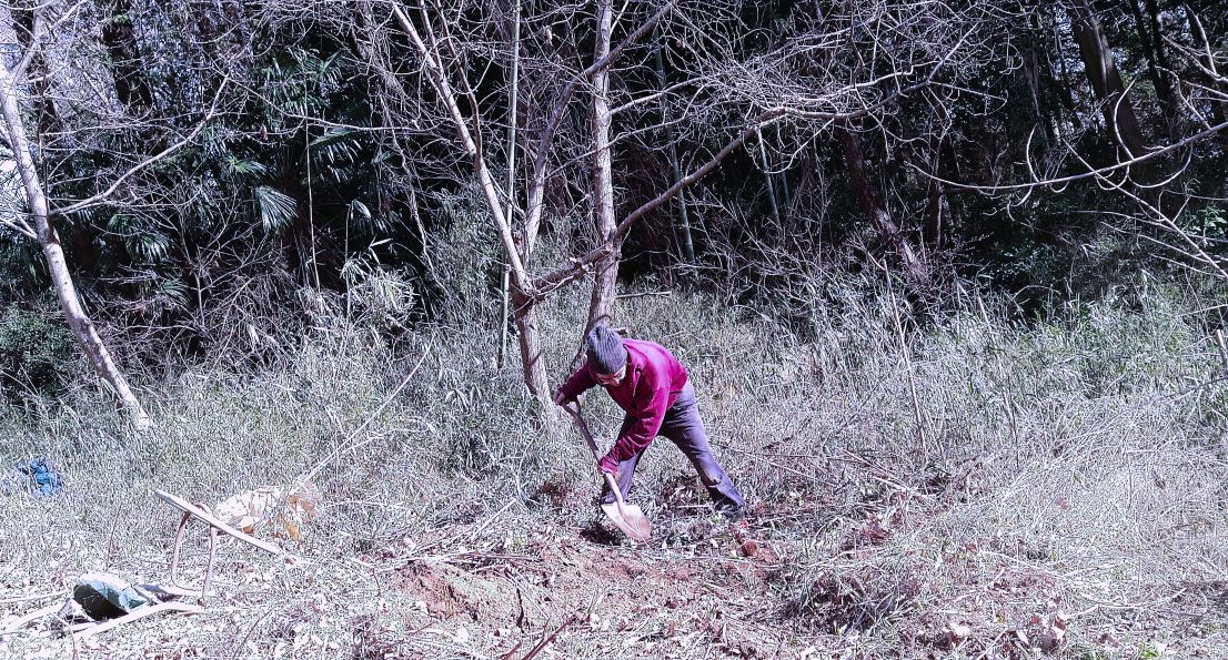 内閣府の森林と生活に関する世論調査では「この1年間に森に1回も行っていない人」が47.4%もいる