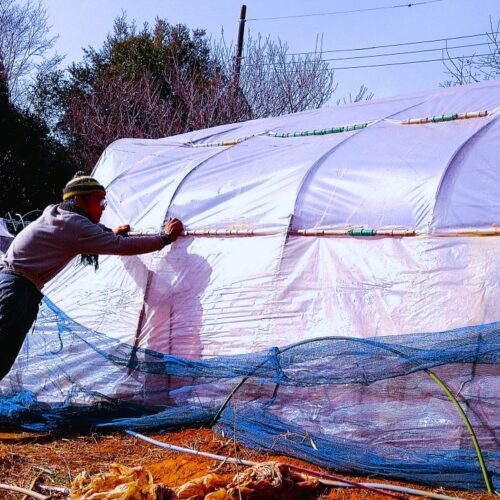 田舎暮らしには、とりわけ今年のように強風が何度も吹き、久しく経験してない寒波が連続する